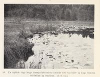 150. No-nb digibok 2013102224002 0054 1.jpg