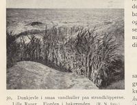 152. No-nb digibok 2013102224002 0057 1.jpg