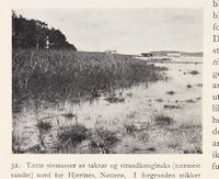 154. No-nb digibok 2013102224002 0058 1.jpg