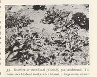 155. No-nb digibok 2013102224002 0059 1.jpg