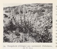 156. No-nb digibok 2013102224002 0060 1.jpg