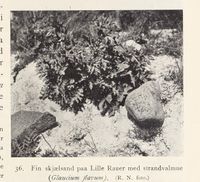 158. No-nb digibok 2013102224002 0061 1.jpg