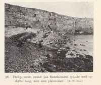 160. No-nb digibok 2013102224002 0062 2.jpg