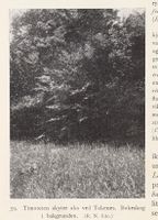 161. No-nb digibok 2013102224002 0066 1.jpg