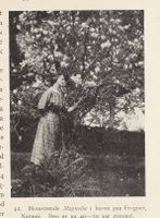 164. No-nb digibok 2013102224002 0069 1.jpg