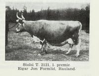 Stolsi T. 2121, 1. premie. Eigar Jon Formlid, Rauland.. Foto: Det Norske næringsliv. 4 : Telemark fylkesleksikon, 1949.