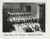 Gåseslakt frå Frogner småbruksskole. Foto: Det Norske næringsliv. 4 : Telemark fylkesleksikon, 1949.