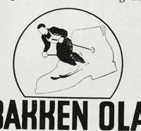 "Bakken-Ola" – ei anna merkevare frå fabrikken. Foto: Johs. Sætherskar, Det Norske Næringsliv 4, Telemark Fylkesleksikon, Bergen, 1949.