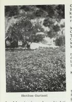 259. No-nb digibok 2013111808064 0903 1.jpg