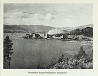 Notodden Salpeterfabriker på Notodden, etablert i 1905. Foto: Norske næringsliv : Telemark, 1949