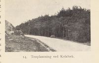 24. No-nb digibok 2013121124008 0041 1.jpg