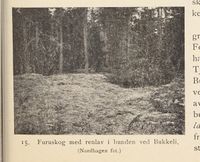 25. No-nb digibok 2013121124008 0041 2.jpg