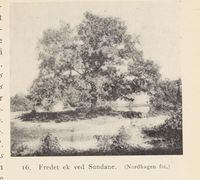 26. No-nb digibok 2013121124008 0043 1.jpg