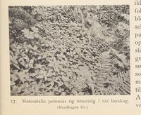 27. No-nb digibok 2013121124008 0043 2.jpg