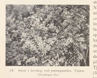 28. No-nb digibok 2013121124008 0044 1.jpg