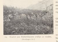 107. No-nb digibok 2013121124008 0046 1.jpg