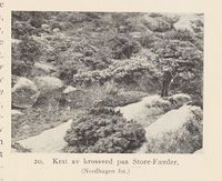 108. No-nb digibok 2013121124008 0047 1.jpg