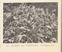 110. No-nb digibok 2013121124008 0048 2.jpg