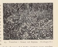 111. No-nb digibok 2013121124008 0049 1.jpg