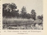 114. No-nb digibok 2013121124008 0051 1.jpg