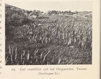 115. No-nb digibok 2013121124008 0052 2.jpg