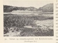 116. No-nb digibok 2013121124008 0054 1.jpg