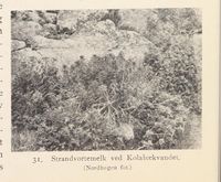 117. No-nb digibok 2013121124008 0054 2.jpg