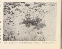 122. No-nb digibok 2013121124008 0058 1.jpg