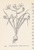 126. No-nb digibok 2013121124008 0064 1.jpg