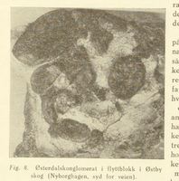 41. No-nb digibok 2014010838007 0028 1.jpg