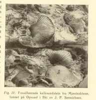 5. No-nb digibok 2014010838007 0030 2.jpg