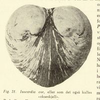 61. No-nb digibok 2014010838007 0054 1.jpg