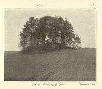 38. No-nb digibok 2014010838007 0087 1.jpg