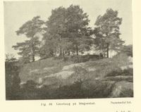 41. No-nb digibok 2014010838007 0108 1.jpg