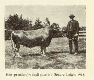 No-nb digibok 2014010838007 0461 1.jpg