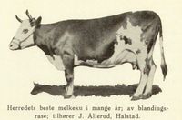 114. No-nb digibok 2014010838007 0462 1.jpg