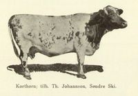 Korthorn fra Ski kommune, 1929