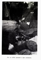 79. No-nb digibok 2014033106040 0044 1.jpg