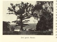 173. No-nb digibok 2014042338013 0137 2.jpg