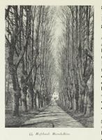 Hovedalléen ved Hafslund hovedgård.