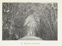 383. No-nb digibok 2014051408272 0107 1.jpg