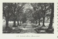 271. No-nb digibok 2014051408272 0126 1.jpg