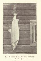 53. No-nb digibok 2014051507004 0024 1.jpg