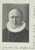 271. No-nb digibok 2015012008038 0165 1.jpg