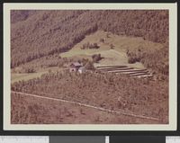 203. No-nb digifoto 20131204 00044 NB WF BLK 115043.jpg