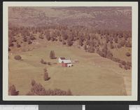 225. No-nb digifoto 20131204 00077 NB WF BLK 121955.jpg