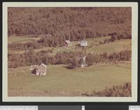 292. No-nb digifoto 20131206 00039 NB WF BLK 122260.jpg