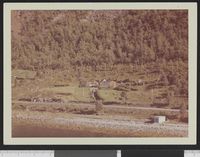 268. No-nb digifoto 20131206 00056 NB WF BLK 122295.jpg