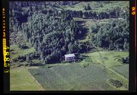 85. No-nb digifoto 20140114 00074 NB WF ANK 048854.jpg