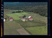 361. No-nb digifoto 20140116 00092 NB WF ANK 152568.jpg